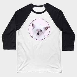 Chinese Crested (Powderpuff) Baseball T-Shirt